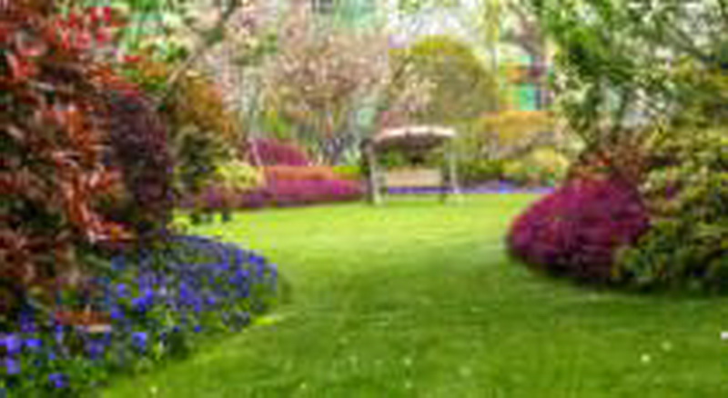 首页- 英国立博ladbrokes公司官网