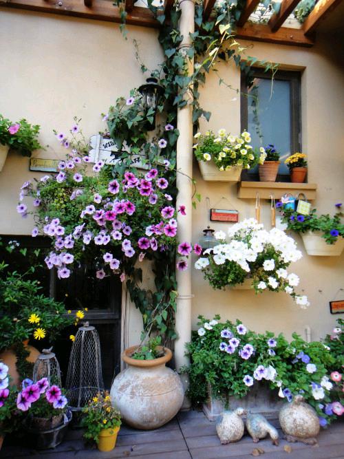 首页- 英国立博ladbrokes公司官网